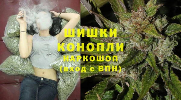 spice Аркадак