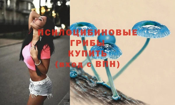 ALPHA PVP Армянск